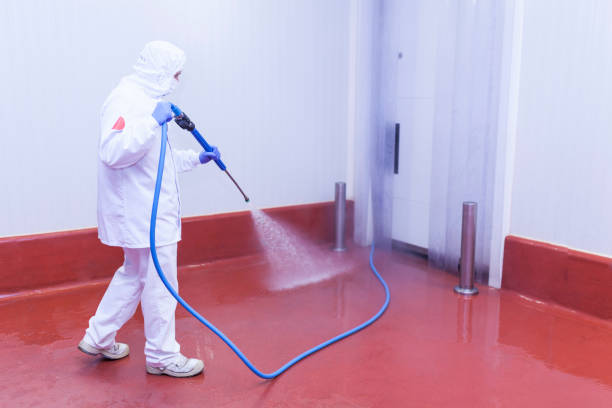 Best Restaurant Pressure Washing  in Le Mars, IA
